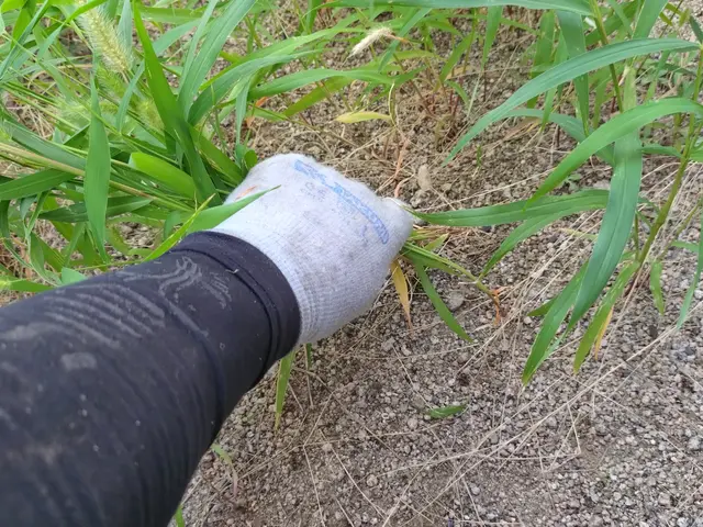 1000件以上の実績！美しい仕上がりと丁寧な作業で感動をお届けサービスの画像