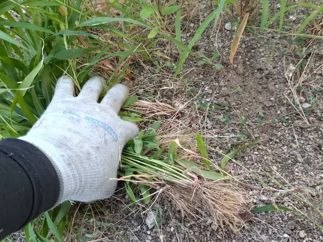 1000件以上の実績！美しい仕上がりと丁寧な作業で感動をお届けサービスの画像