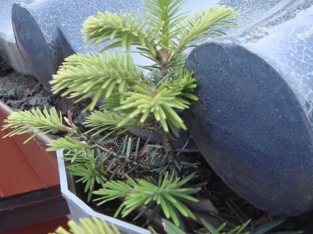 雨樋のお掃除、修理ならお任せください！！サービスの画像