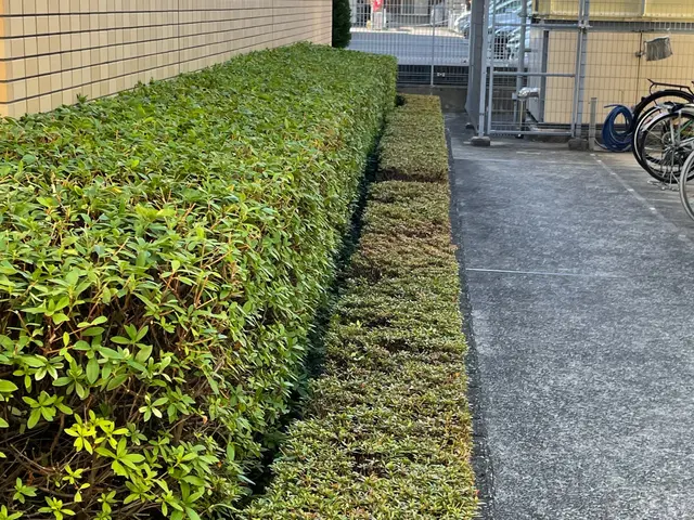 【女性スタッフ同行可◎】プロの技術でお困りごとを解決！ご要望にお応えします！サービスの画像