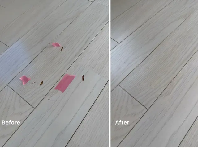 美術制作のプロが手がける！100%以上の仕上がりで傷や凹みを美しく修復サービスの画像