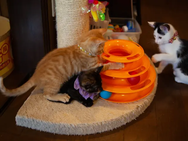 【店長の私が伺います◎】ペット同伴の撮影も可能！野外で楽しく撮影しましょう！