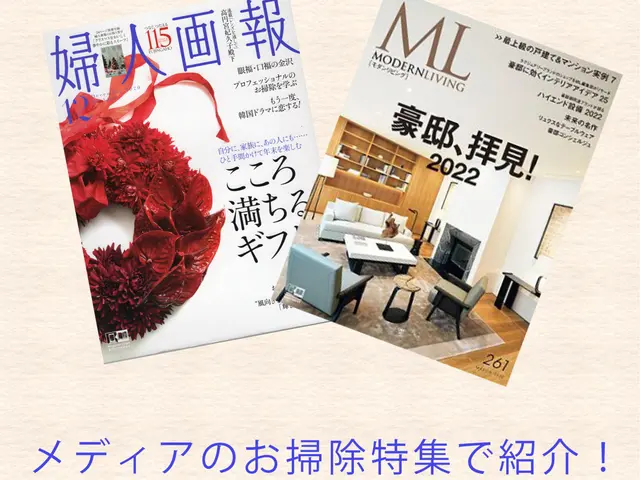 ダイキン・富士通・日立・シャープ・パナソニック・三菱・東芝等対応◆自然派洗剤サービスの画像