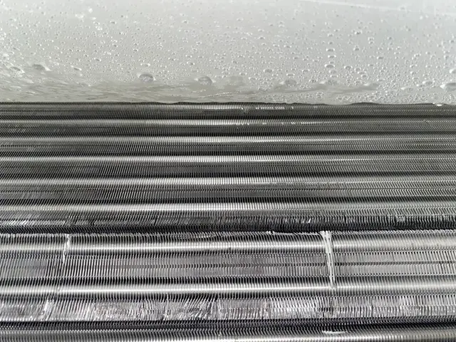 ◆秋のキャンペーン中◆(#^.^#)  健康で快適に過ごせる空間のお手伝いしますサービスの画像