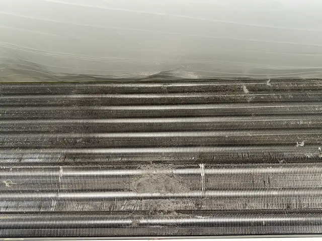 ◆秋のキャンペーン中◆(#^.^#)  健康で快適に過ごせる空間のお手伝いしますサービスの画像