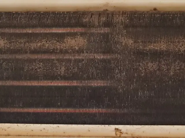 洗浄歴20年以上！実績2000台以上！資格保有者が親切丁寧に作業します。サービスの画像