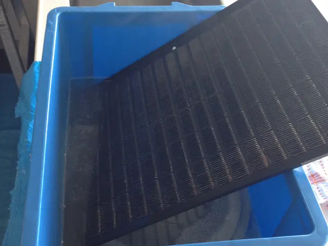 【くらま歴9年の本物です】品質保証付♫ 11/ 7〜予約可能♫サービスの画像