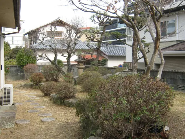 ◆「草刈り機」で大部分は『カット』します。◆「植木・庭石」付近は『手作業』です。サービスの画像