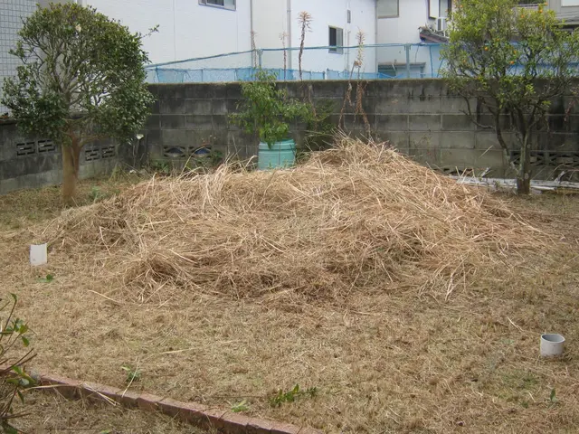 ◆「草刈り機」で大部分は『カット』します。◆「植木・庭石」付近は『手作業』です。サービスの画像