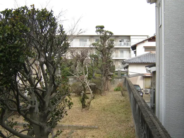 ◆「草刈り機」で大部分は『カット』します。◆「植木・庭石」付近は『手作業』です。サービスの画像