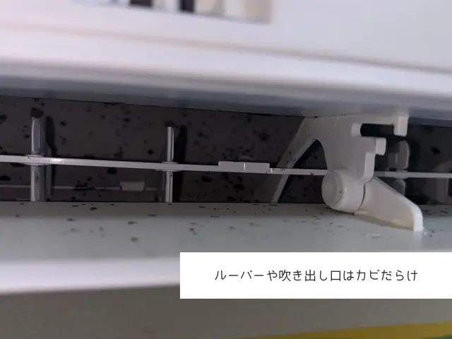 【お子様がいらっしゃるお客様大歓迎】お子様やペットに優しい洗剤でカビを徹底除去！サービスの画像