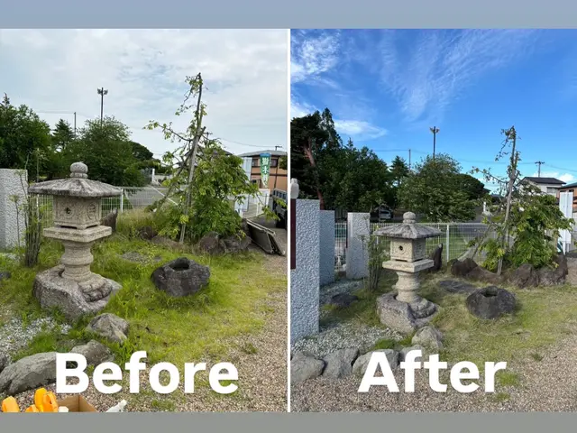 草刈り（草刈り機）サービスの画像