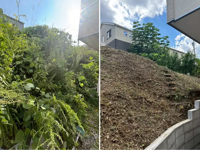 草刈り（草刈り機）サービスの画像