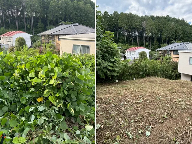 草刈り（草刈り機）サービスの画像