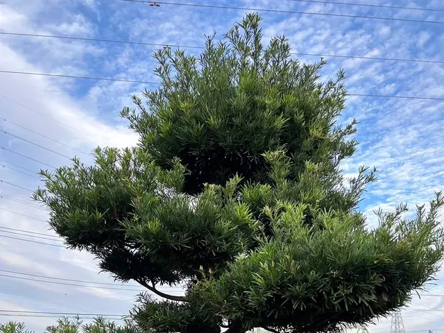 【15年の実績】お客様の御要望にお答え致します。サービスの画像