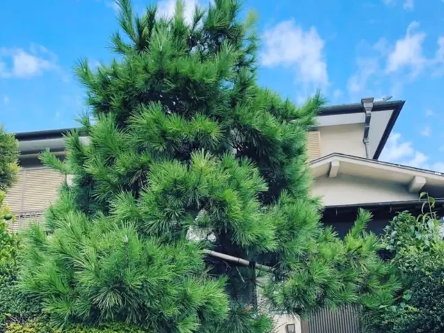 【15年の実績】お客様の御要望にお答え致します。サービスの画像