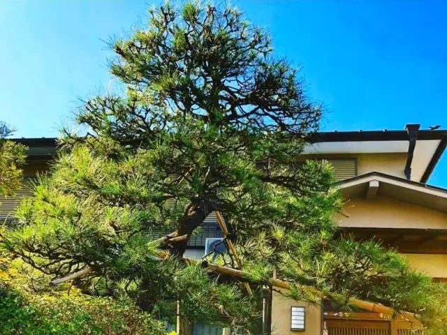 【15年の実績】お客様の御要望にお答え致します。サービスの画像