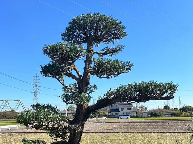 【15年の実績】お客様の御要望にお答え致します。サービスの画像