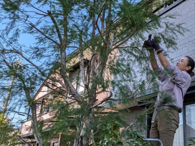 庭に関するお困りごと、お気軽にご相談くださいサービスの画像