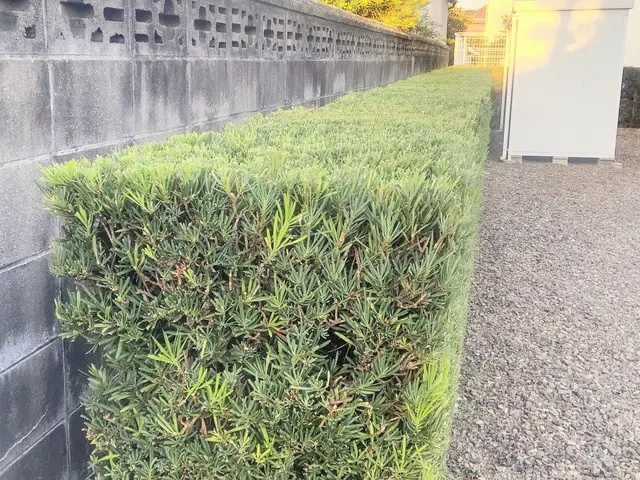 庭に関するお困りごと、お気軽にご相談くださいサービスの画像