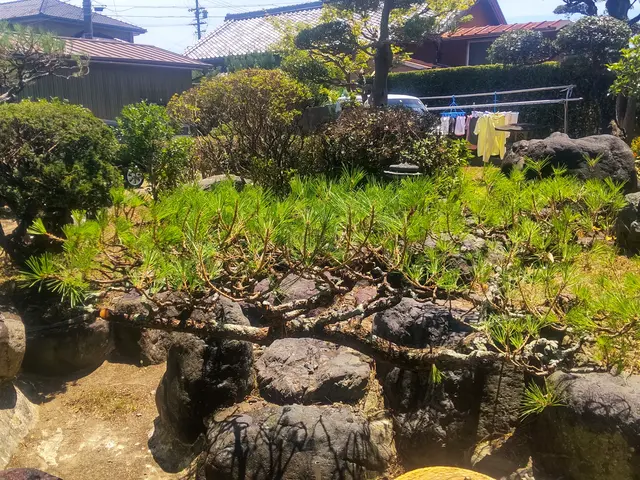 庭に関するお困りごと、お気軽にご相談くださいサービスの画像