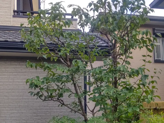 庭に関するお困りごと、お気軽にご相談くださいサービスの画像