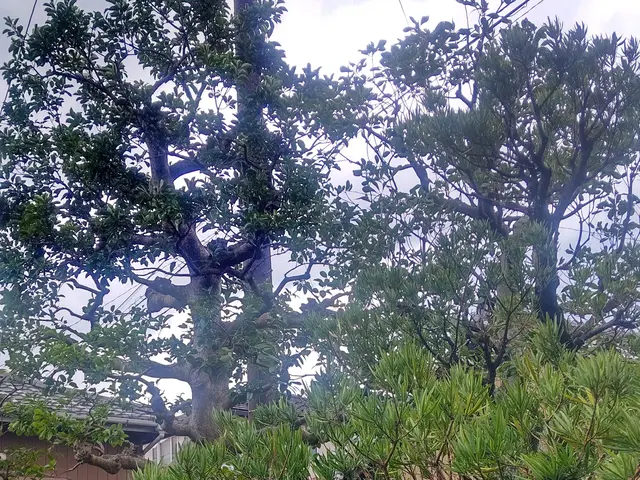 庭に関するお困りごと、お気軽にご相談くださいサービスの画像