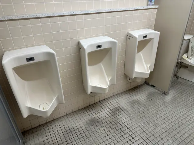 大手企業定期清掃請負中！トイレ掃除のプロが快適空間を取り戻します。サービスの画像