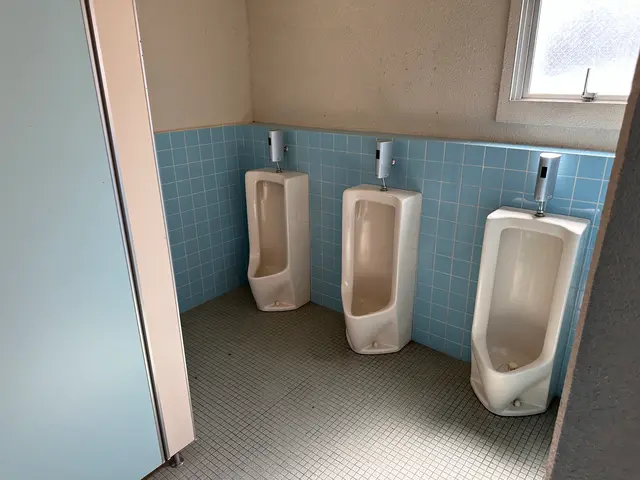 大手企業定期清掃請負中！トイレ掃除のプロが快適空間を取り戻します。サービスの画像