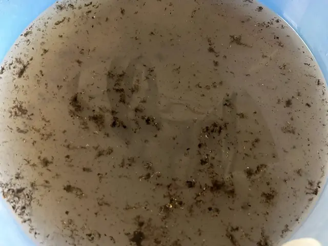 ★複数台割引1台最大8000円★オーガニック洗剤★消臭抗菌コート半額キャンペーンサービスの画像