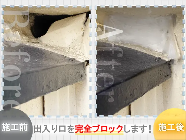 ◆現地調査無料◆駆除→回収まで全てセットで徹底駆除します！明日も対応可能！サービスの画像