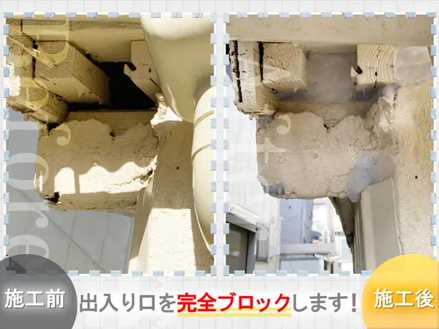 ◆現地調査無料◆駆除→回収まで全てセットで徹底駆除します！明日も対応可能！サービスの画像