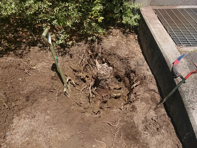 お庭の事ならおまかせ下さい！プロの仕上がりに納得！料金はご要望にお応えします。サービスの画像