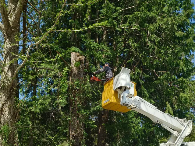 お庭の事ならおまかせ下さい！プロの仕上がりに納得！料金はご要望にお応えします。サービスの画像