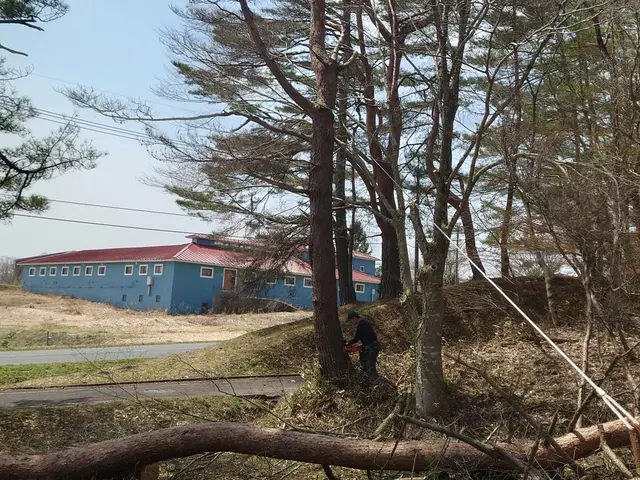 お庭の事ならおまかせ下さい！プロの仕上がりに納得！料金はご要望にお応えします。サービスの画像