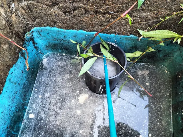 詰まり追加料金なし！安心1年保証付き　平日指定で予約1100円お値引きでお得！サービスの画像