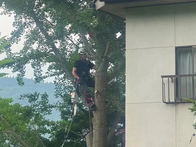 丁寧・迅速・騒音防止！ 庭木の伐採屋プロフェッショナル集団サービスの画像