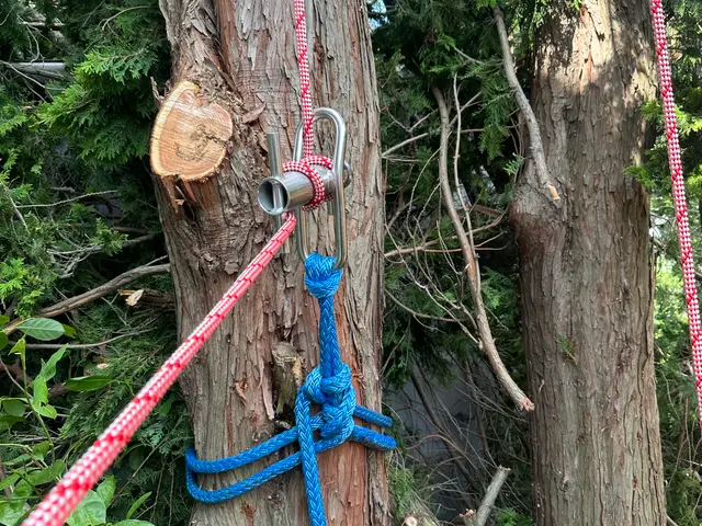 丁寧・迅速・騒音防止！ 庭木の伐採屋プロフェッショナル集団サービスの画像