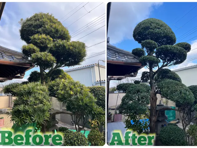 緑のお仕事承ります。サービスの画像