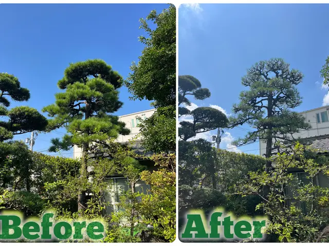 緑のお仕事承ります。サービスの画像