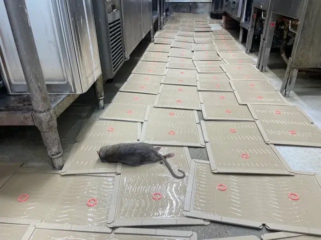 【調査見積無料】(厚生労働大臣登録)防除作業監督者です。数多の修羅場を経験サービスの画像