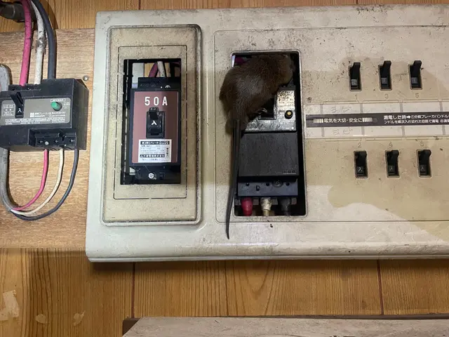 【調査見積無料】(厚生労働大臣登録)防除作業監督者です。数多の修羅場を経験サービスの画像