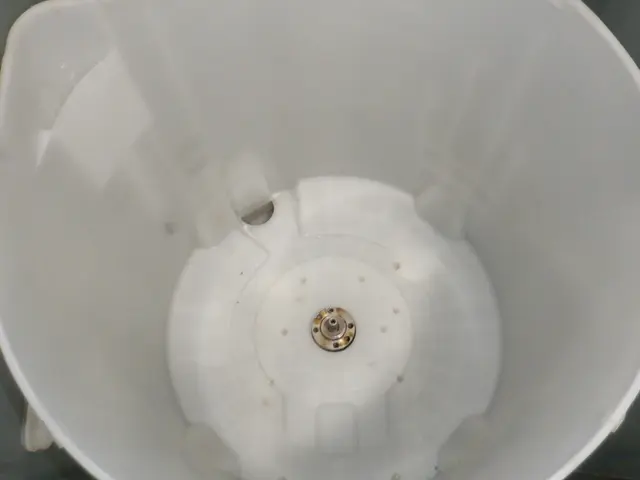 洗濯機クリーニング/縦型　（8kgまで）サービスの画像