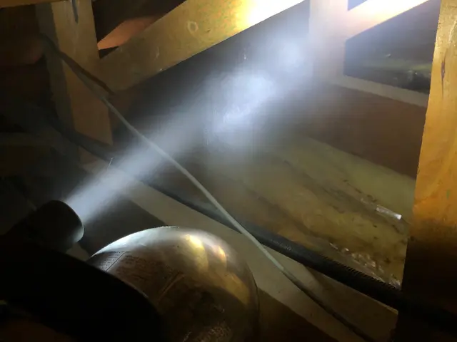 【10/28以降調査可能】足音やダニによる身体の痒さありませんか？まずはご相談をサービスの画像