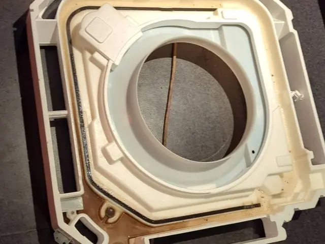 《年中無休》納得価格の徹底清掃！お子様、ペットに安心の抗菌コーティングも！サービスの画像