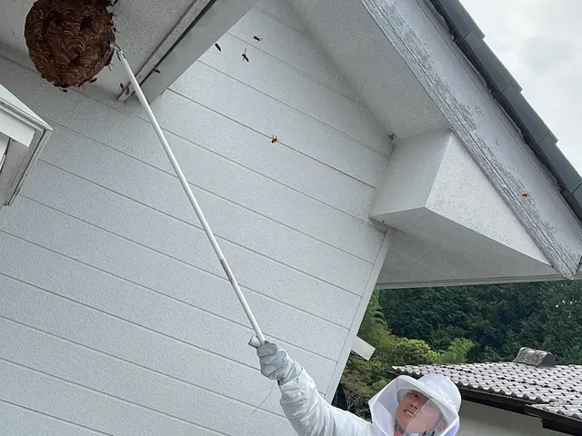 【11月即日対応可能日あり】☆スピード対応・スピード返信☆【アシナガ8800円】サービスの画像