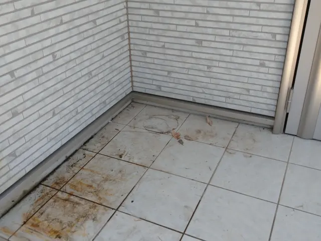 駐車場・ベランダ･玄関など、おウチの顔である外回りをクリーニング！サービスの画像