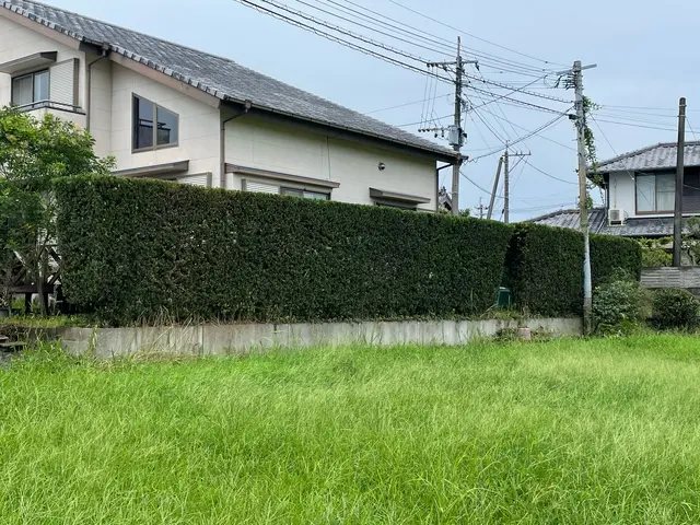 サツキツツジ類や花の終わった木の剪定お急ぎくださいサービスの画像