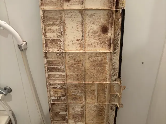 ★高級賃貸での作業実績多数！清潔感のあるスタッフが丁寧に対応致します！★サービスの画像