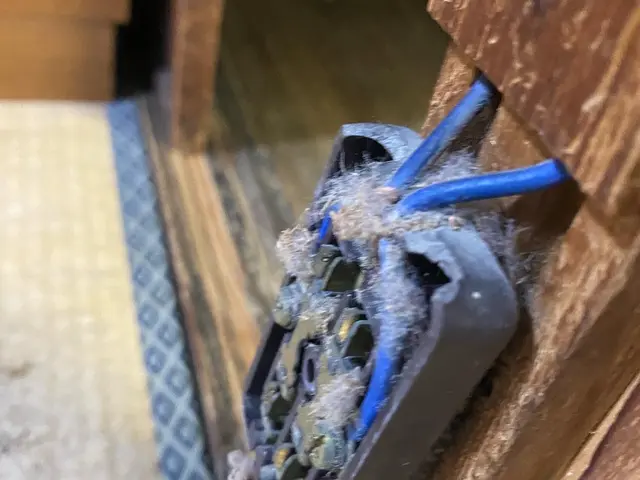 【北九州市発】有資格者が伺います◎損害保険加入済みで万が一の場合も安心です♪サービスの画像